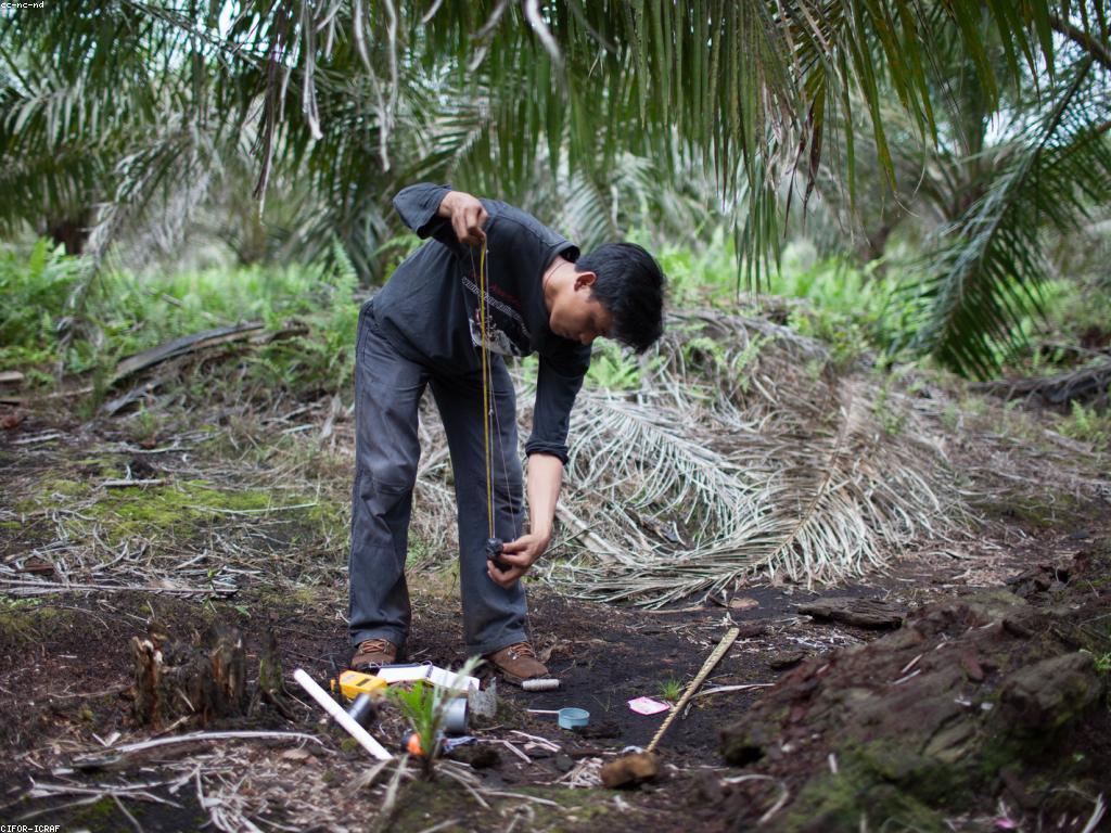 សារៈសម្អាងនៃការវាយតម្លៃក្នុងការលូតលាស់ផ្ទាល់ខ្លួន