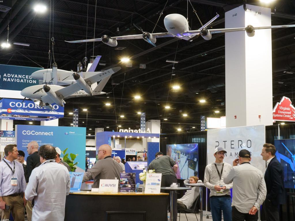 ក្បាច់របស់រ៉ូឡែត: ការបកស្រាយនិងអត្ថប្រយោជន៍