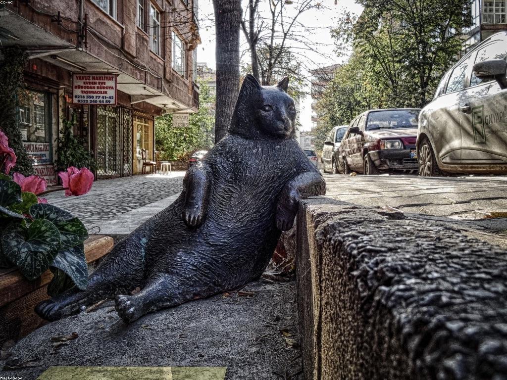 ការយល់ដឹងអំពីជម្រើសក្បាលឆ្នោត